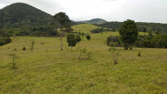 Foto 1 - Fazenda de 480 hectares em guaratinga