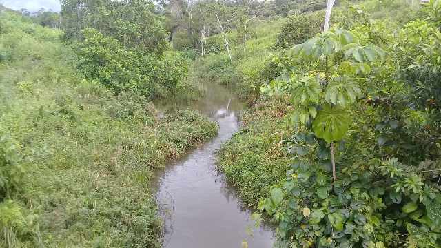 Fazenda em una 175 hectares oportunidade